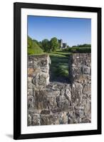 Ireland, County Wexford, Saltmills, Tintern Abbey-Walter Bibikow-Framed Premium Photographic Print