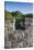 Ireland, County Wexford, Saltmills, Tintern Abbey-Walter Bibikow-Stretched Canvas