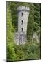 Ireland, County Wicklow, Enniskerry, Powerscourt Estate, Tower Valley-Walter Bibikow-Mounted Photographic Print