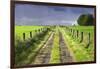 Ireland. Dirt road in County Roscommon-Jaynes Gallery-Framed Photographic Print