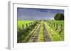 Ireland. Dirt road in County Roscommon-Jaynes Gallery-Framed Photographic Print