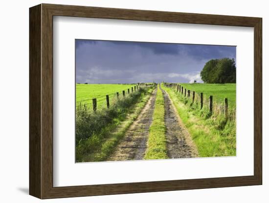 Ireland. Dirt road in County Roscommon-Jaynes Gallery-Framed Photographic Print