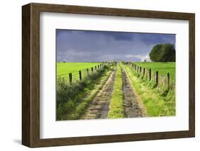 Ireland. Dirt road in County Roscommon-Jaynes Gallery-Framed Photographic Print