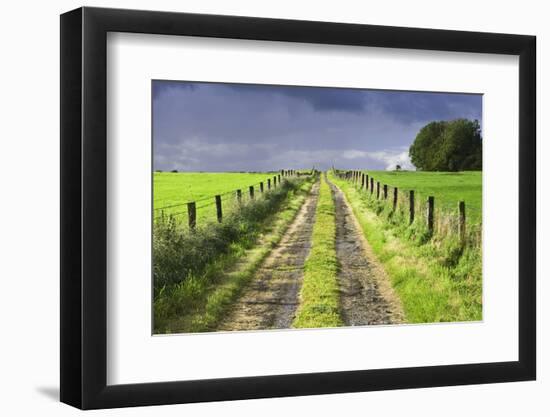 Ireland. Dirt road in County Roscommon-Jaynes Gallery-Framed Photographic Print