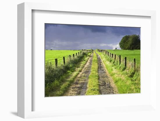 Ireland. Dirt road in County Roscommon-Jaynes Gallery-Framed Photographic Print