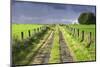 Ireland. Dirt road in County Roscommon-Jaynes Gallery-Mounted Photographic Print