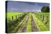 Ireland. Dirt road in County Roscommon-Jaynes Gallery-Stretched Canvas