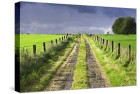 Ireland. Dirt road in County Roscommon-Jaynes Gallery-Stretched Canvas