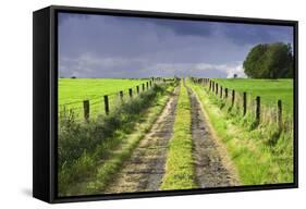 Ireland. Dirt road in County Roscommon-Jaynes Gallery-Framed Stretched Canvas
