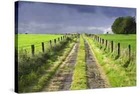 Ireland. Dirt road in County Roscommon-Jaynes Gallery-Stretched Canvas
