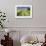 Ireland. Dirt road in County Roscommon-Jaynes Gallery-Framed Photographic Print displayed on a wall