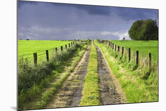 Ireland. Dirt road in County Roscommon-Jaynes Gallery-Mounted Photographic Print