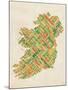 Ireland Eire City Text map-Michael Tompsett-Mounted Art Print