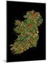 Ireland Eire City Text map-Michael Tompsett-Mounted Art Print