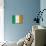 Ireland Flag Distressed Art Print Poster-null-Stretched Canvas displayed on a wall