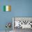 Ireland Flag Distressed Art Print Poster-null-Stretched Canvas displayed on a wall
