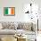 Ireland Flag-null-Framed Art Print displayed on a wall