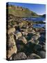 Ireland Giant's Causeway, Hexagonal Basalt Columns-null-Stretched Canvas