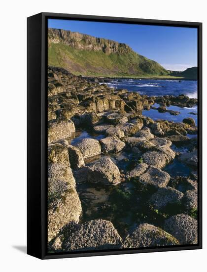 Ireland Giant's Causeway, Hexagonal Basalt Columns-null-Framed Stretched Canvas