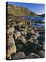 Ireland Giant's Causeway, Hexagonal Basalt Columns-null-Stretched Canvas