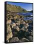 Ireland Giant's Causeway, Hexagonal Basalt Columns-null-Framed Stretched Canvas