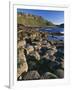 Ireland Giant's Causeway, Hexagonal Basalt Columns-null-Framed Photographic Print