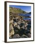 Ireland Giant's Causeway, Hexagonal Basalt Columns-null-Framed Photographic Print