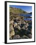 Ireland Giant's Causeway, Hexagonal Basalt Columns-null-Framed Photographic Print