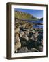 Ireland Giant's Causeway, Hexagonal Basalt Columns-null-Framed Photographic Print