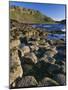 Ireland Giant's Causeway, Hexagonal Basalt Columns-null-Mounted Photographic Print