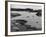 Ireland, Glengarriff-null-Framed Photographic Print