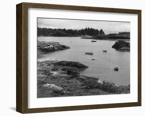 Ireland, Glengarriff-null-Framed Photographic Print