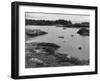 Ireland, Glengarriff-null-Framed Photographic Print