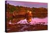 Ireland, Island Garinish, Castletownbere, Shipwreck, Evening Light-Thomas Ebelt-Stretched Canvas