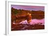 Ireland, Island Garinish, Castletownbere, Shipwreck, Evening Light-Thomas Ebelt-Framed Photographic Print