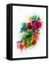 Ireland Map Paint Splashes-Michael Tompsett-Framed Stretched Canvas