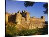 Ireland. Medieval Cahir Castle and River Suir-Jaynes Gallery-Stretched Canvas