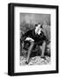 Ireland: Oscar Wilde (1854 - 1900), Irish writer and poet, 1882-null-Framed Photographic Print