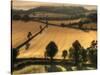 Ireland Overlook-PHBurchett-Stretched Canvas