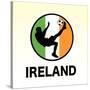 Ireland Soccer-null-Stretched Canvas