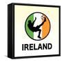 Ireland Soccer-null-Framed Stretched Canvas