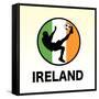 Ireland Soccer-null-Framed Stretched Canvas