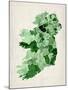 Ireland Watercolor Map-Michael Tompsett-Mounted Art Print