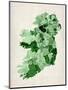 Ireland Watercolor Map-Michael Tompsett-Mounted Art Print