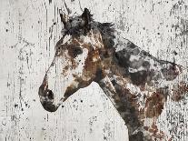 Dapple Horse I-Irena Orlov-Art Print
