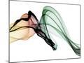 Wood Mount