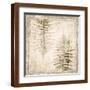 Brown Frame