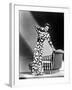 Irene Dunne, 1941-null-Framed Photo