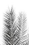 Palm Revive Noir-Irene Suchocki-Giclee Print