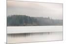Wood Mount